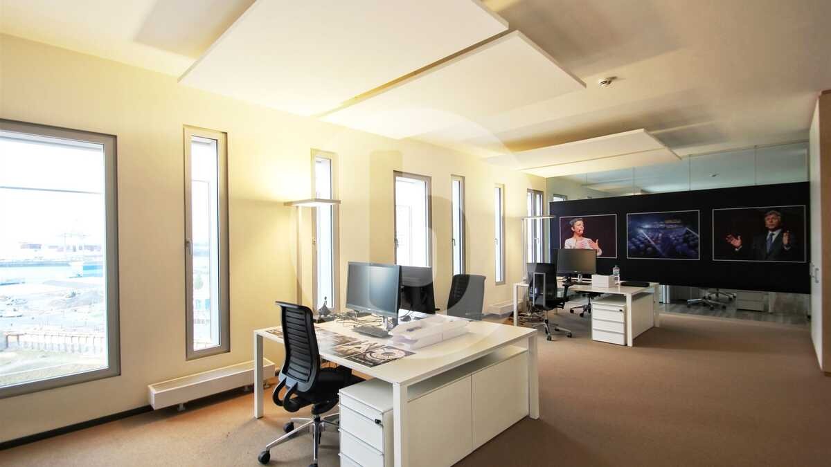Jasne biuro z biurkami, krzesłami i komputerami; widok na port przez okna; panele akustyczne na suficie; ściana z portretami w tle.