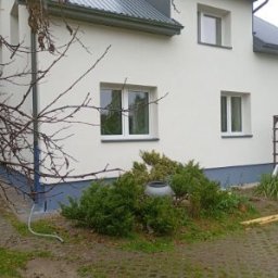 Sylwester Dyguła - Otynkowany dom jednorodzinny z białymi oknami i szarym dachem, otoczony zielenią. Widoczne krzewy i drzewo bez liści. Świeżo pomalowana elewacja w jasnym odcieniu.