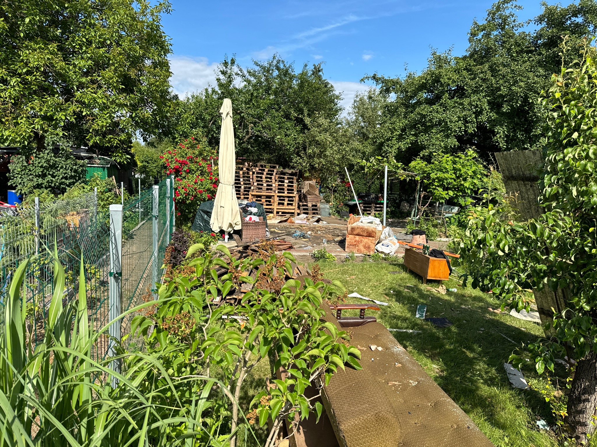 Fragment ogrodu po demontażu, widoczne porozrzucane elementy, palety, meble i zdemontowane konstrukcje w otoczeniu zieleni i drzew.