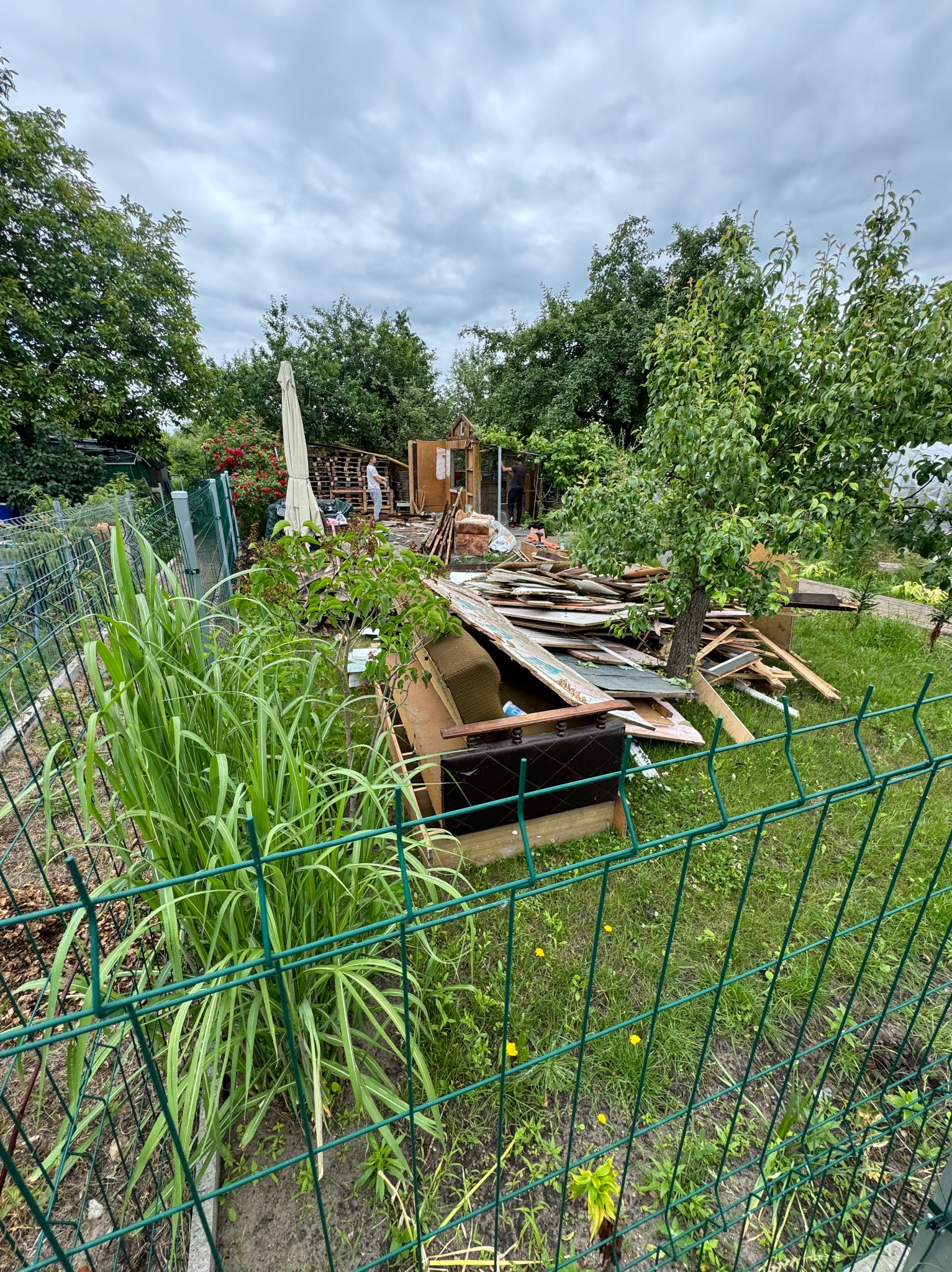 Sterta poodzieranych desek, elementów mebli i innych odpadów budowlanych leżąca na trawie w ogrodzie za zielonym ogrodzeniem z siatki, w tle częściowo rozebrana konstrukcja drewniana i postać...