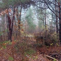 Koszenie trawy Góra Kalwaria 1