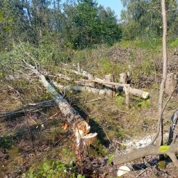 Koszenie trawy Góra Kalwaria 3