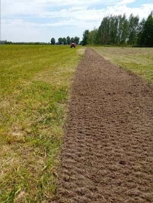 Przygotowany pas ziemi pod trawnik z rolki, widoczny traktor w oddali na tle zielonego pola i drzew