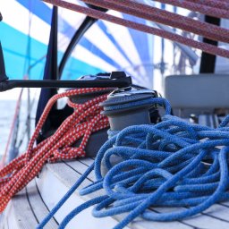 Sesja rodzinna Reda 1