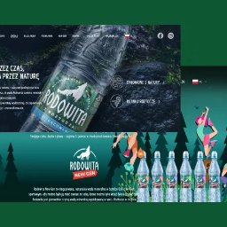 Naturalna odsłona strony nowej marki wody mineralnej