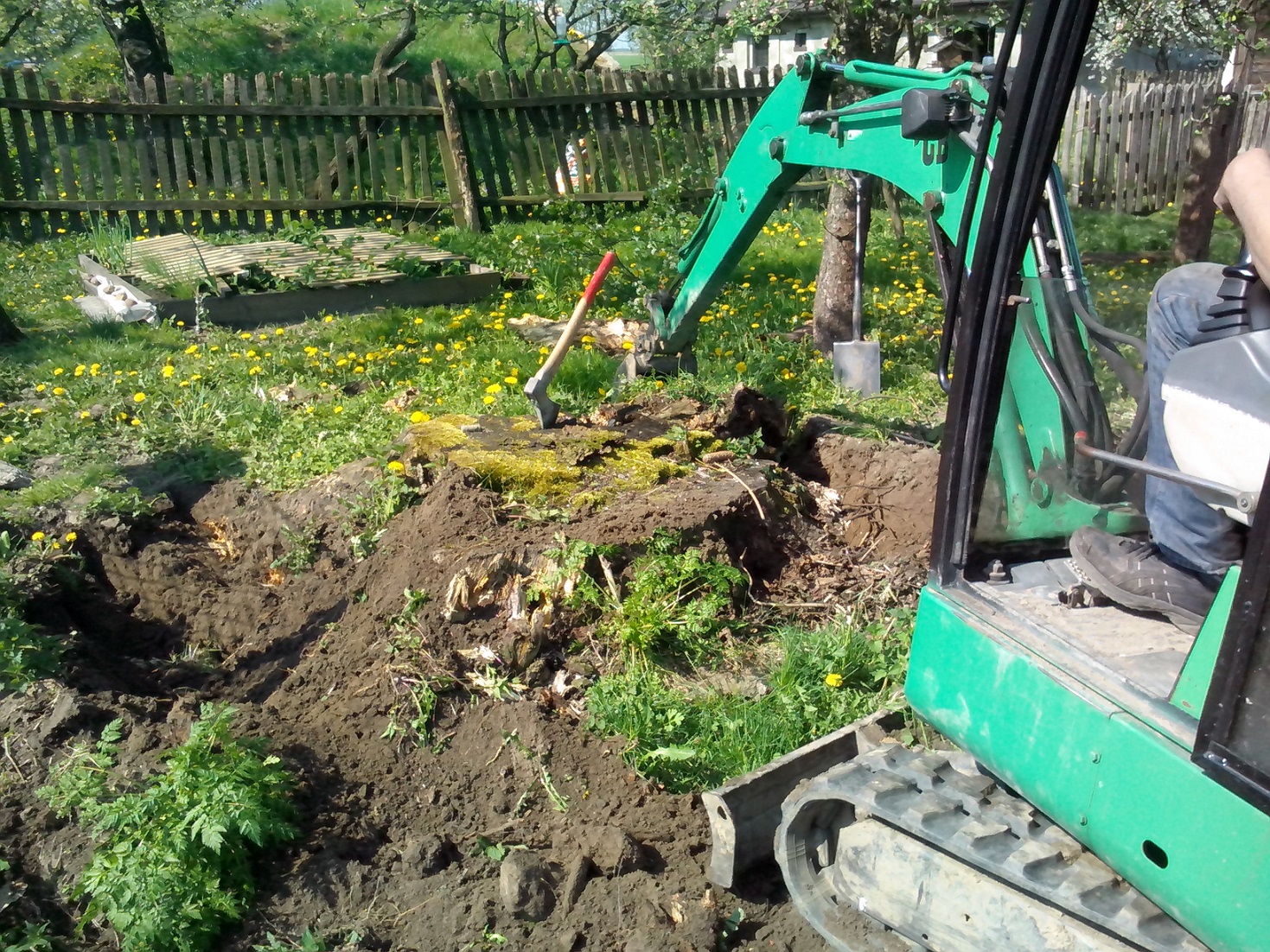 Zielona minikoparka usuwa spróchniały pień drzewa na zarośniętej działce, w tle drewniane ogrodzenie i kwitnące mniszki lekarskie.