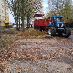 Drewno kominkowe Szczecin 1