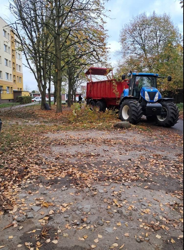 Niebieski traktor z czerwoną przyczepą stoi na placu z opadłymi liśćmi, obok leżą gałęzie po wycince, w tle blok mieszkalny.