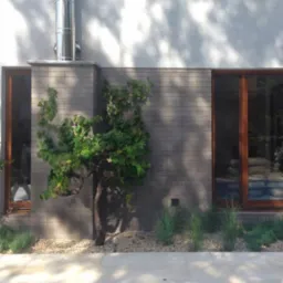 Krzew winorośli z zielonymi liśćmi rosnący przed nowoczesnym budynkiem z szarej cegły i drewnianą stolarką okienną, małe krzewy i żwir u podstawy, w tle widoczny komin.