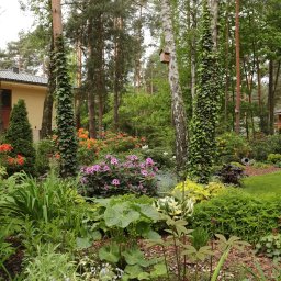 Projektowanie ogrodów Gdynia 4