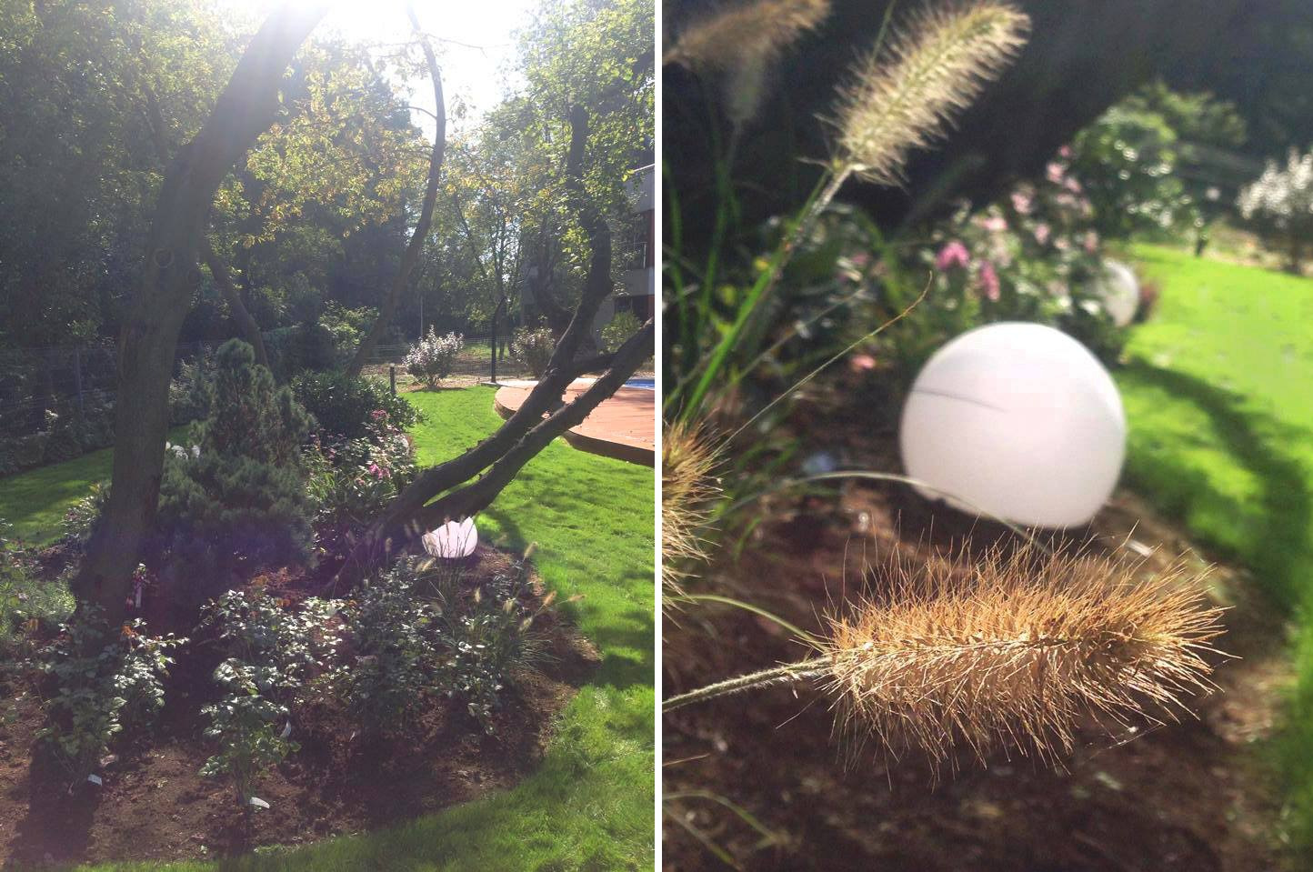 Oświetlony ogród z kulistymi lampami w Gdyni, widok na świeżo posadzone rośliny i trawnik w słoneczny dzień.