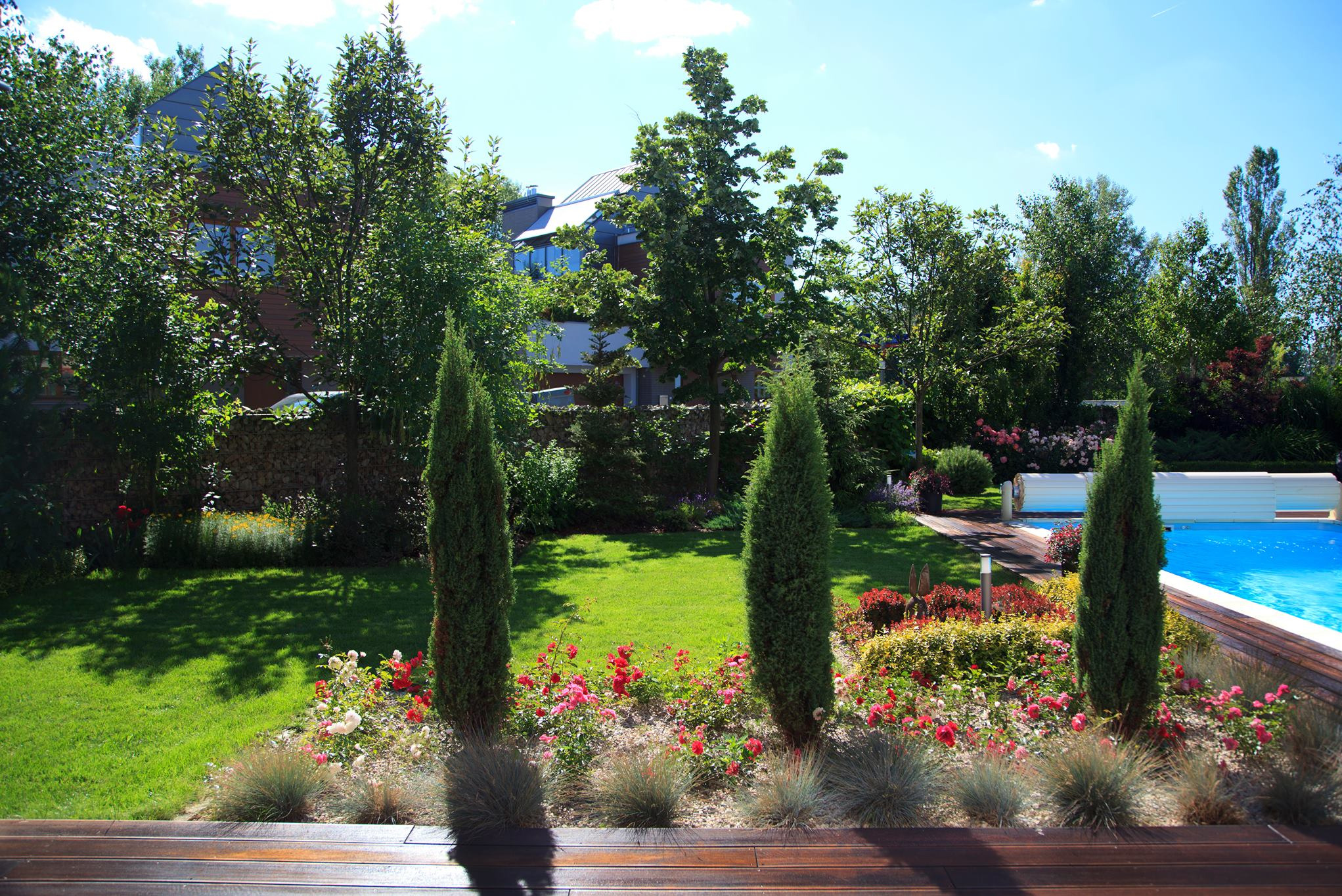 Zadbany ogród z trawnikiem, cyprysami, różami i ozdobnymi trawami, widok z drewnianego tarasu na basen i nowoczesny dom.