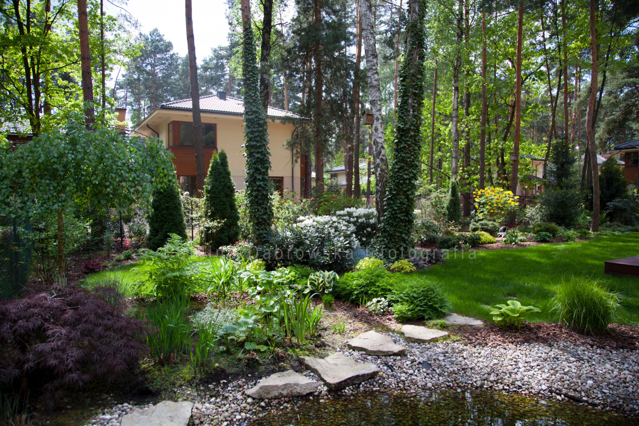 Urokliwy ogród przydomowy z oczkiem wodnym, ścieżką z kamieni, różnorodną roślinnością, drzewami i nowoczesnym domem w tle.