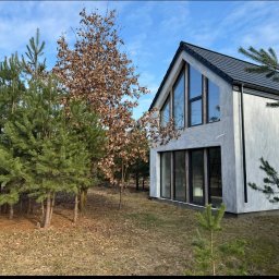 IPA construction - Nowoczesny dom jednorodzinny z dużymi oknami, wykończony jasnoszarym tynkiem strukturalnym, otoczony młodymi drzewami iglastymi i liściastymi, widok z zewnątrz.