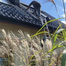 Dekarz na drabinie, naprawia dach z czarnej dachówki z oknami dachowymi, komin z cegły, tło: błękitne niebo, widoczne trawy ozdobne.