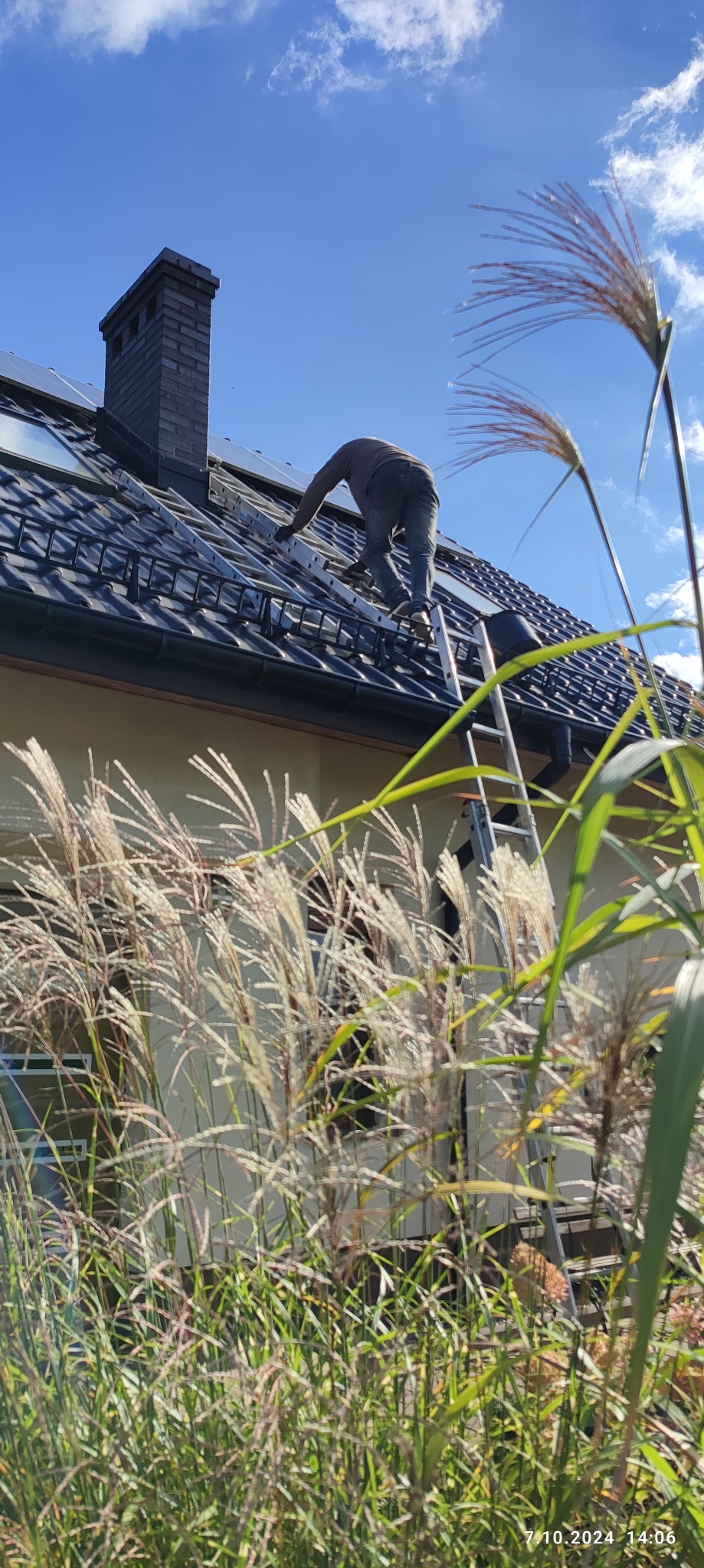 Dekarz na drabinie, naprawia dach z czarnej dachówki z oknami dachowymi, komin z cegły, tło: błękitne niebo, widoczne trawy ozdobne.