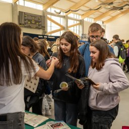 Montaż filmów Łańcut 4