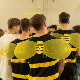 Aleksander Kwiecień - Fotografia - Grupa osób w kostiumach pszczół, widok z tyłu, z żółtymi skrzydłami i czarno-żółtymi koszulkami w paski, na głowach opaski z żółtymi pomponami, w tle rozmyty tłum.