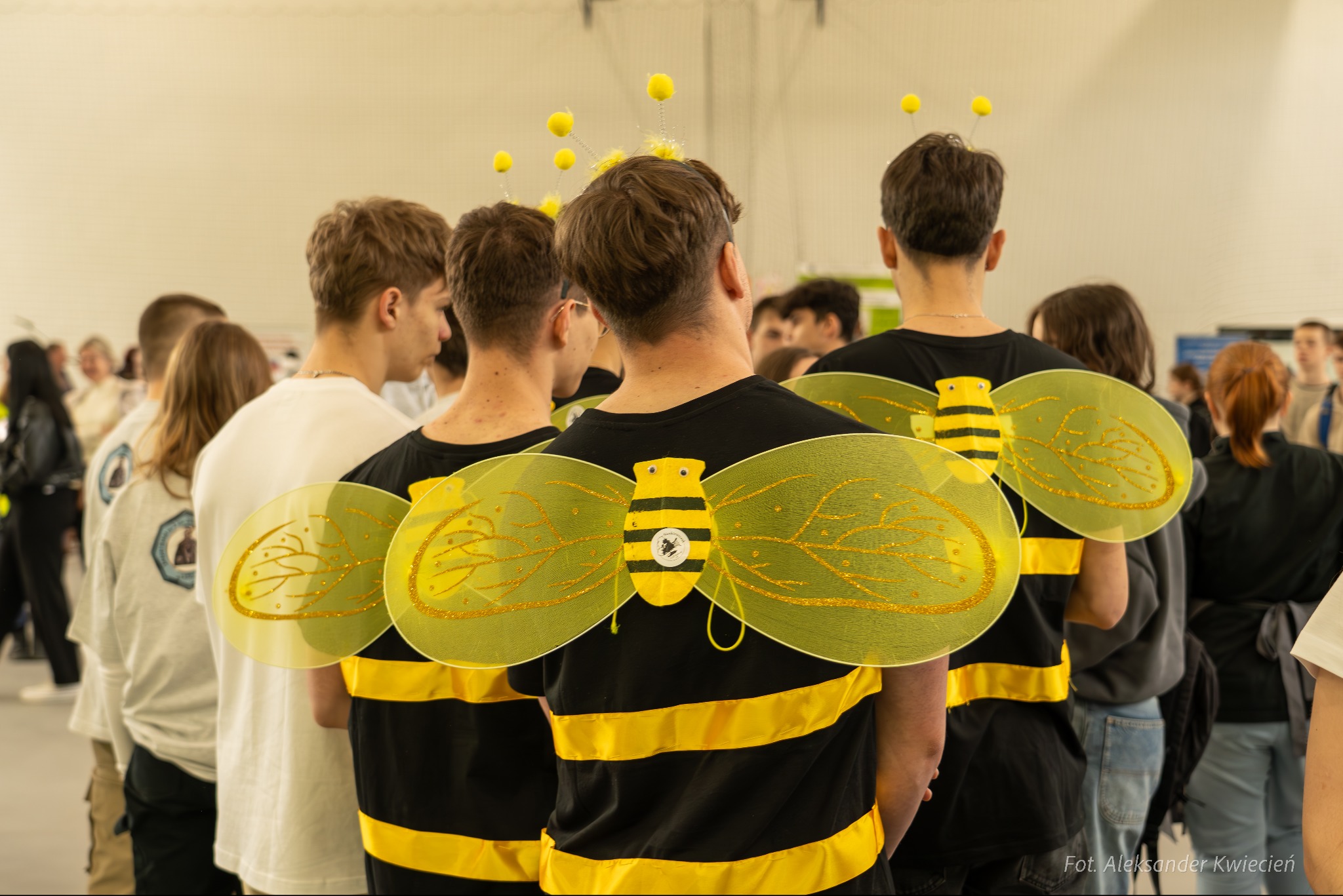 Grupa osób w kostiumach pszczół, widok z tyłu, z żółtymi skrzydłami i czarno-żółtymi koszulkami w paski, na głowach opaski z żółtymi pomponami, w tle rozmyty tłum.