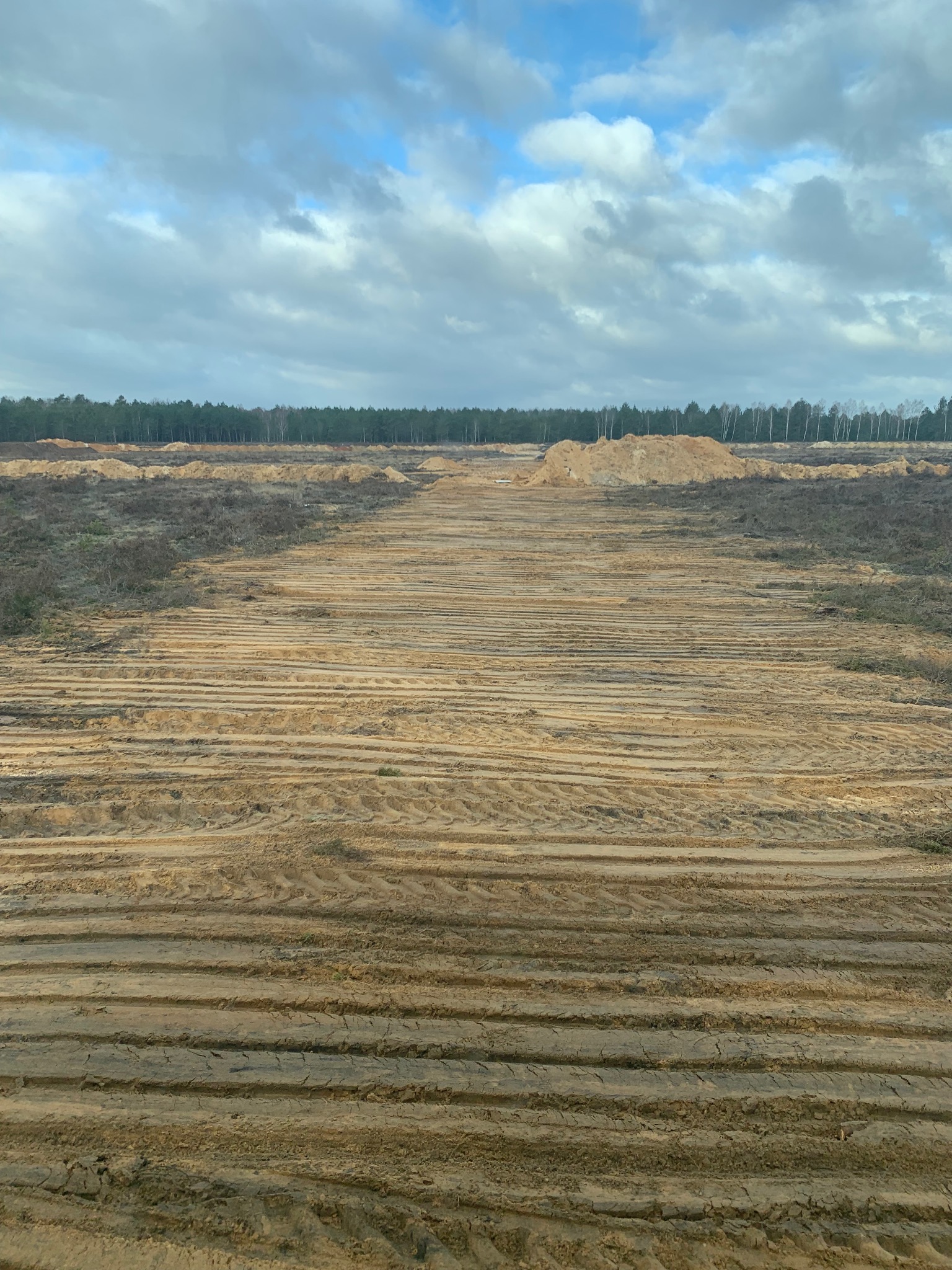 Przygotowany teren pod budowę, widoczne ślady po maszynach, w tle las i pochmurne niebo.