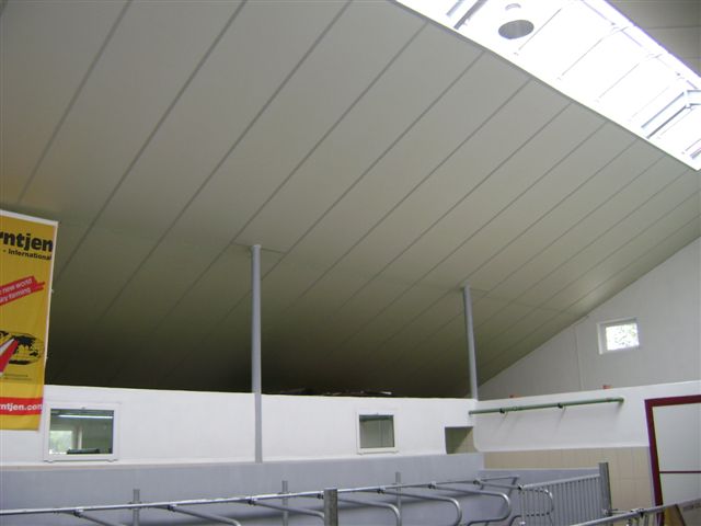 Wnętrze budynku gospodarczego z skośnym sufitem wykończonym panelami Eurothane Al Quattro, wspartym na metalowych słupach, oświetlonym przez okna dachowe.