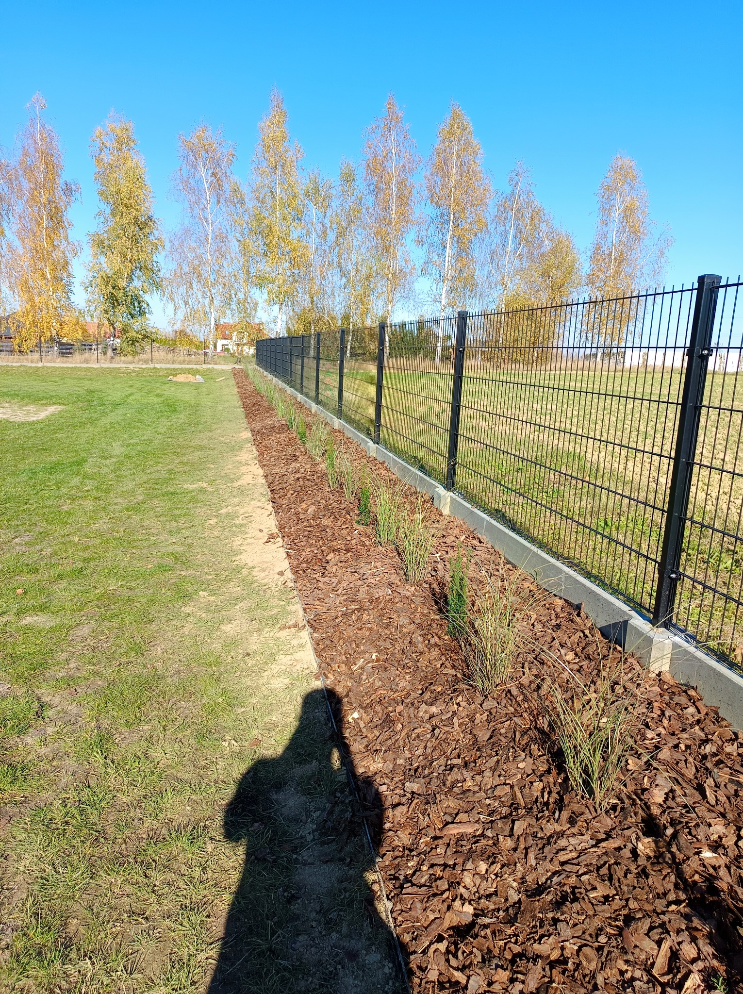 Nowo nasadzone rośliny wzdłuż ogrodzenia, wysypane korą, z widocznym cieniem osoby. Trawa i drzewa w tle pod błękitnym niebem.
