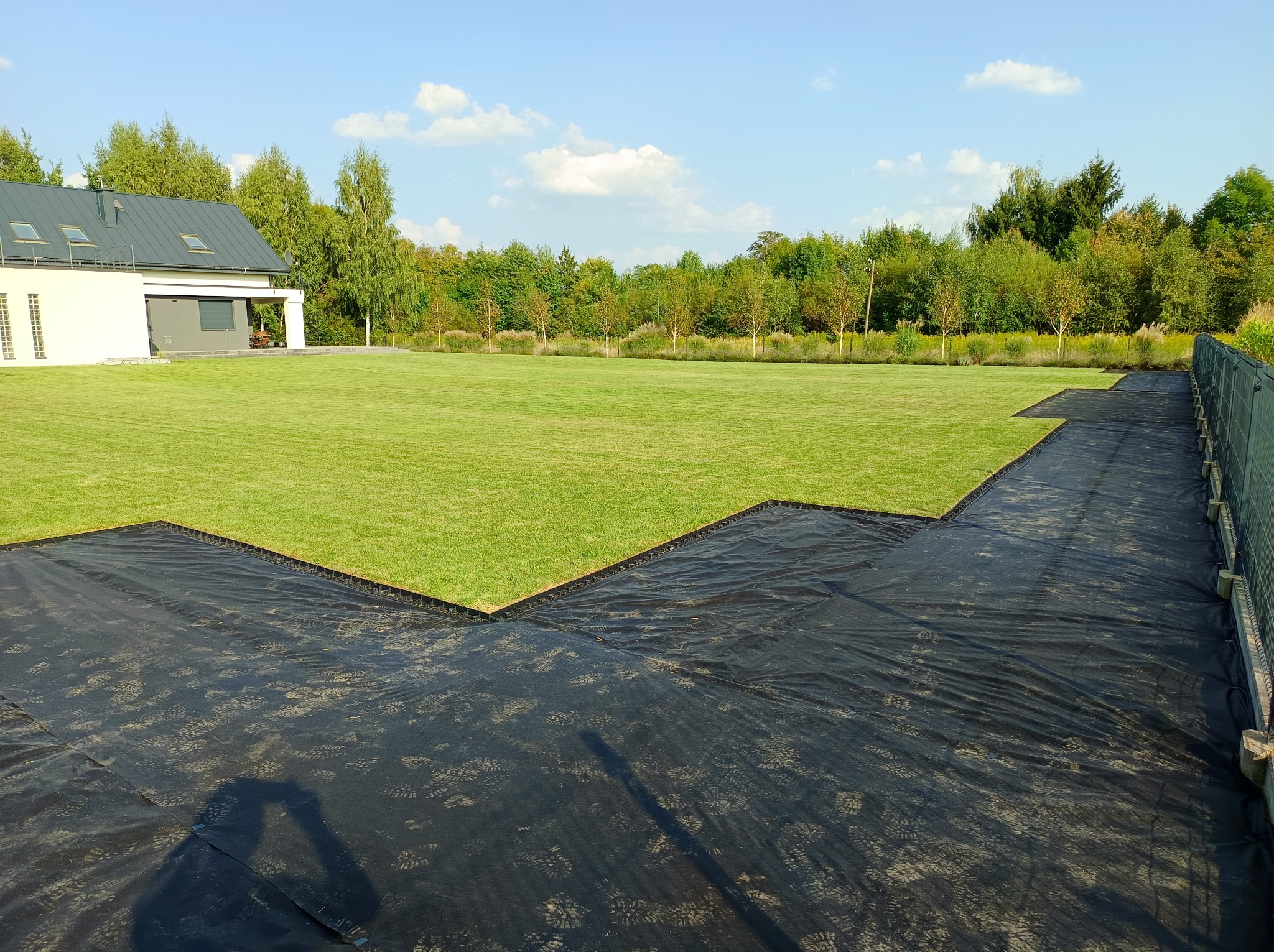Układanie trawy z rolki na czarnej macie w ogrodzie, widoczny dom i drzewa w tle. Częściowo ułożona trawa z rolki tworzy estetyczny trawnik.