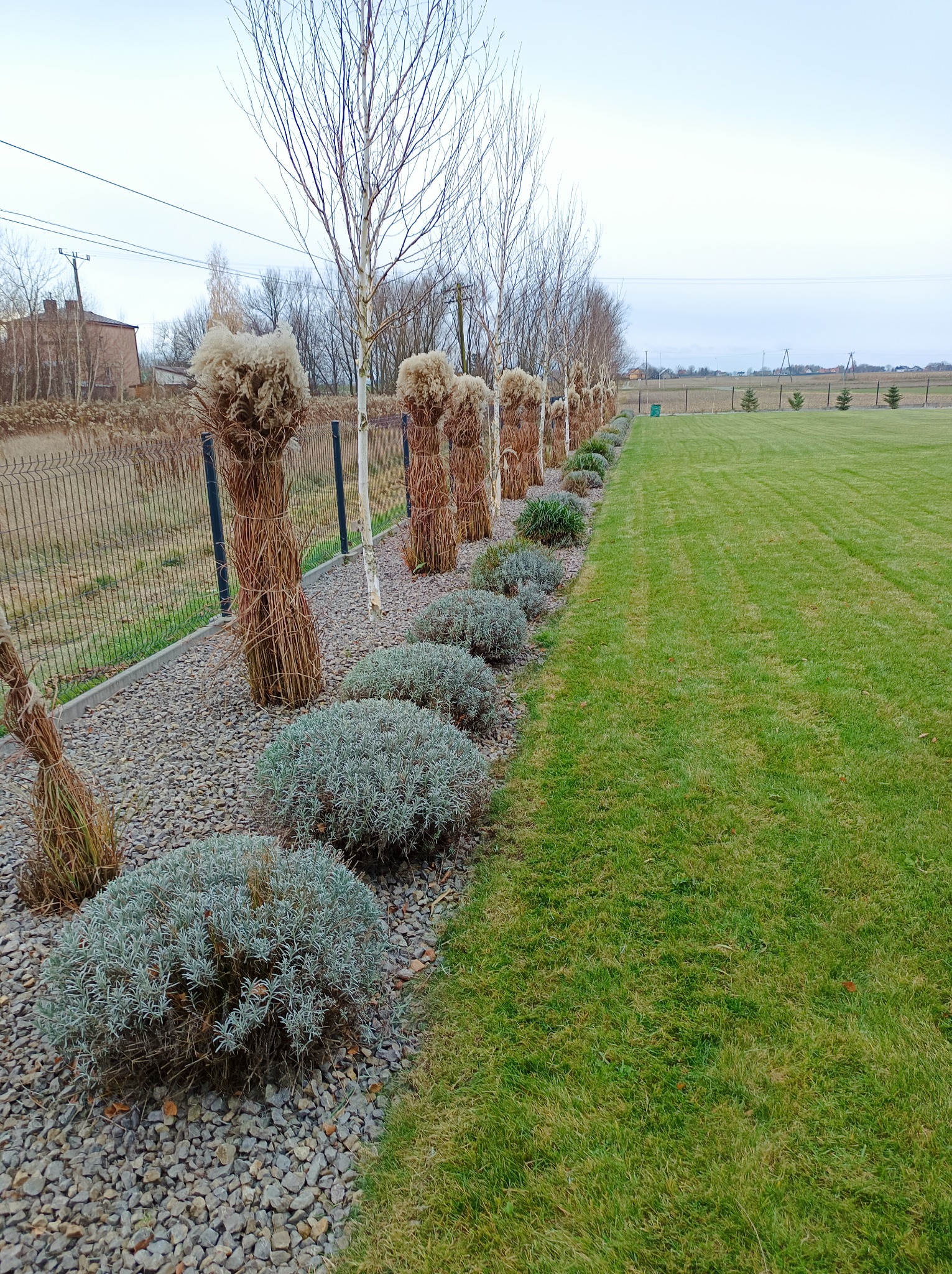 Uporządkowany ogród z równo przystrzyżonym trawnikiem, ozdobnymi krzewami i dekoracyjnymi snopkami słomy wzdłuż ogrodzenia, na tle drzew bez liści.