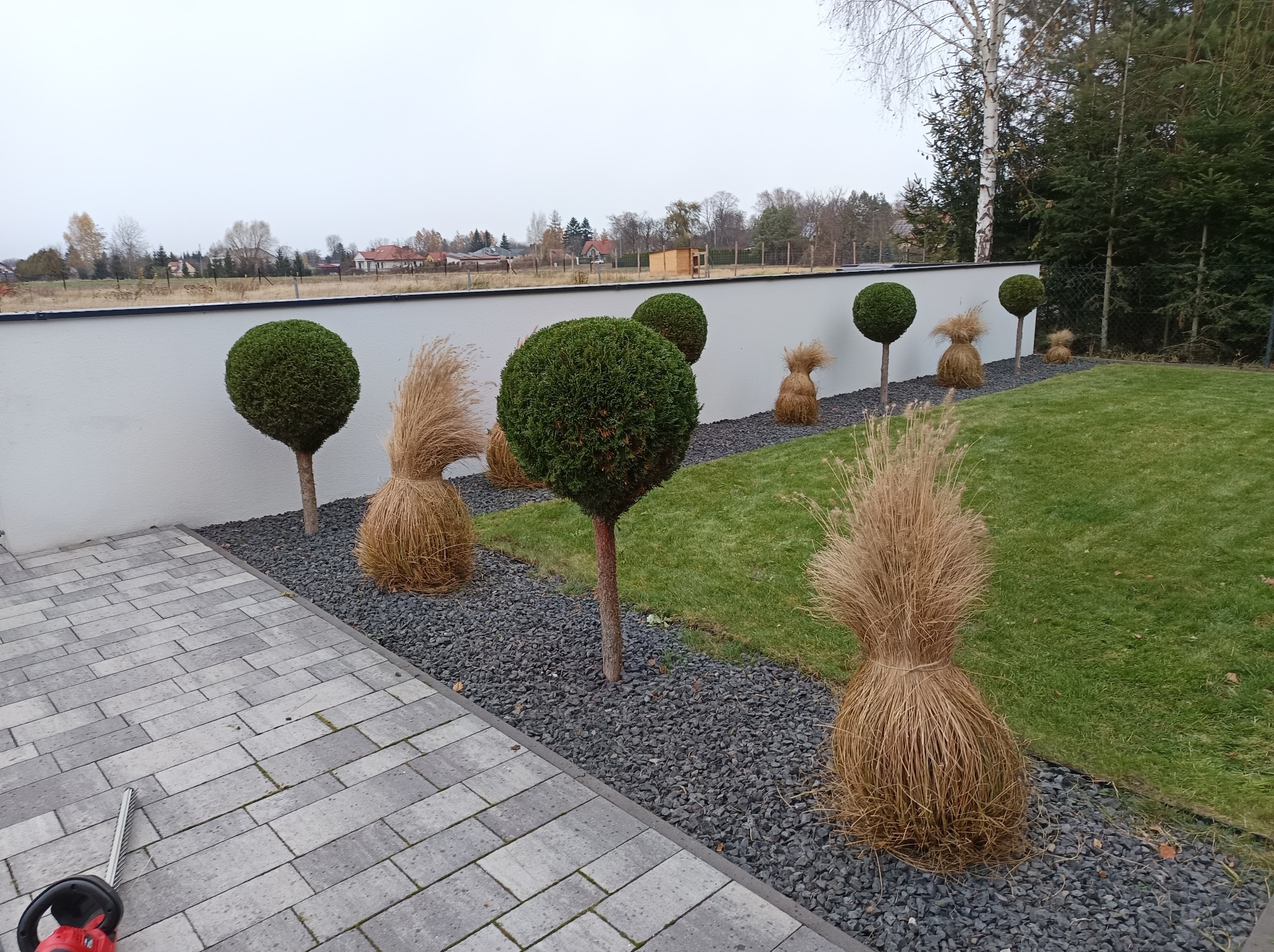 Ogród z równo przyciętymi drzewami w kształcie kul, ozdobnymi trawami, szarą wyściółką i ścieżką z kostki. W tle biały mur i zabudowa.