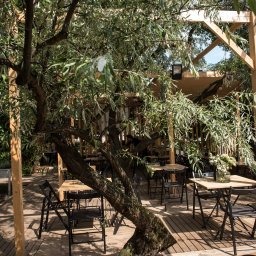 Arser Wood Polska s.c. Sławomir Brzózka, Tomasz Matosz - Drewniany taras z zadaszeniem, stylizowany na kawiarnię na świeżym powietrzu, z naturalnym drzewem wkomponowanym w konstrukcję, drewnianą podłogą i czarnymi krzesłami.