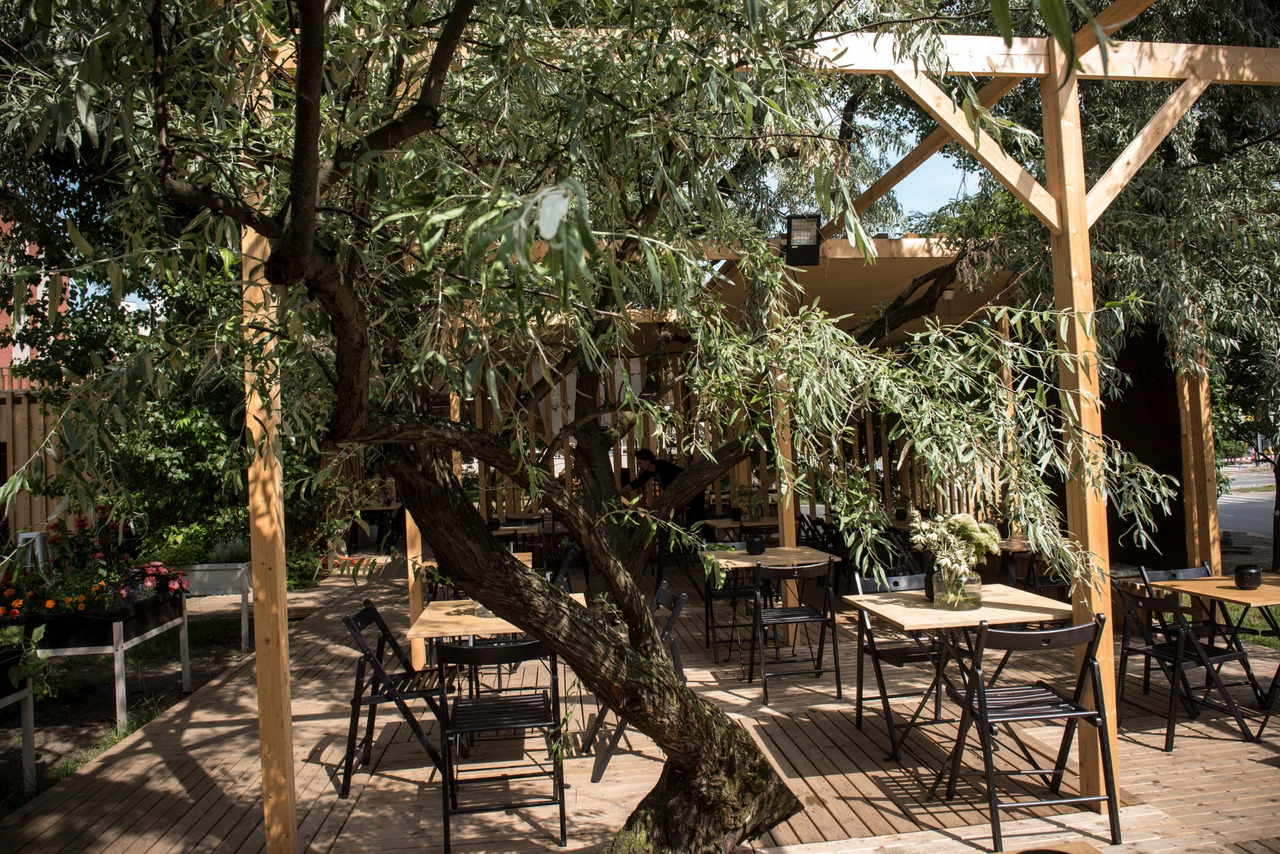 Drewniany taras z zadaszeniem, stylizowany na kawiarnię na świeżym powietrzu, z naturalnym drzewem wkomponowanym w konstrukcję, drewnianą podłogą i czarnymi krzesłami.