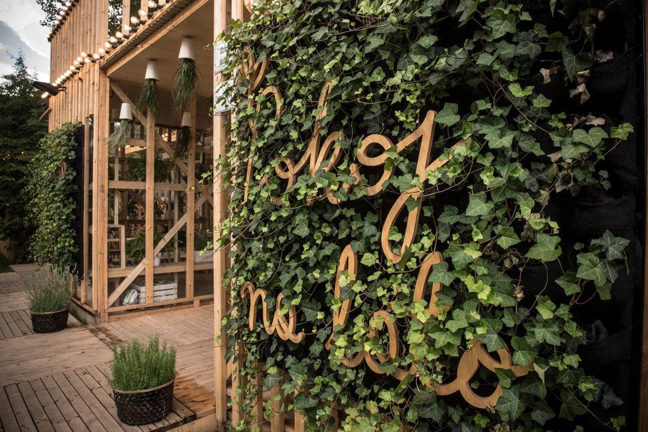 Drewniana konstrukcja z oświetleniem i roślinami w donicach, ściana pokryta bluszczem z dekoracyjnym napisem z drewna, widok z perspektywy tarasu.