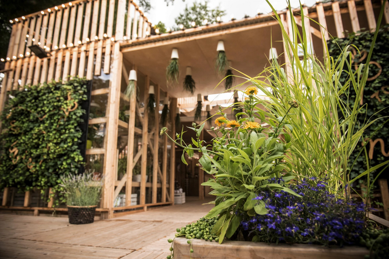 Drewniana konstrukcja z roślinnością: pionowa ściana z zieleni, wiszące donice, oraz kompozycja kwiatowa w drewnianej skrzyni na pierwszym planie.