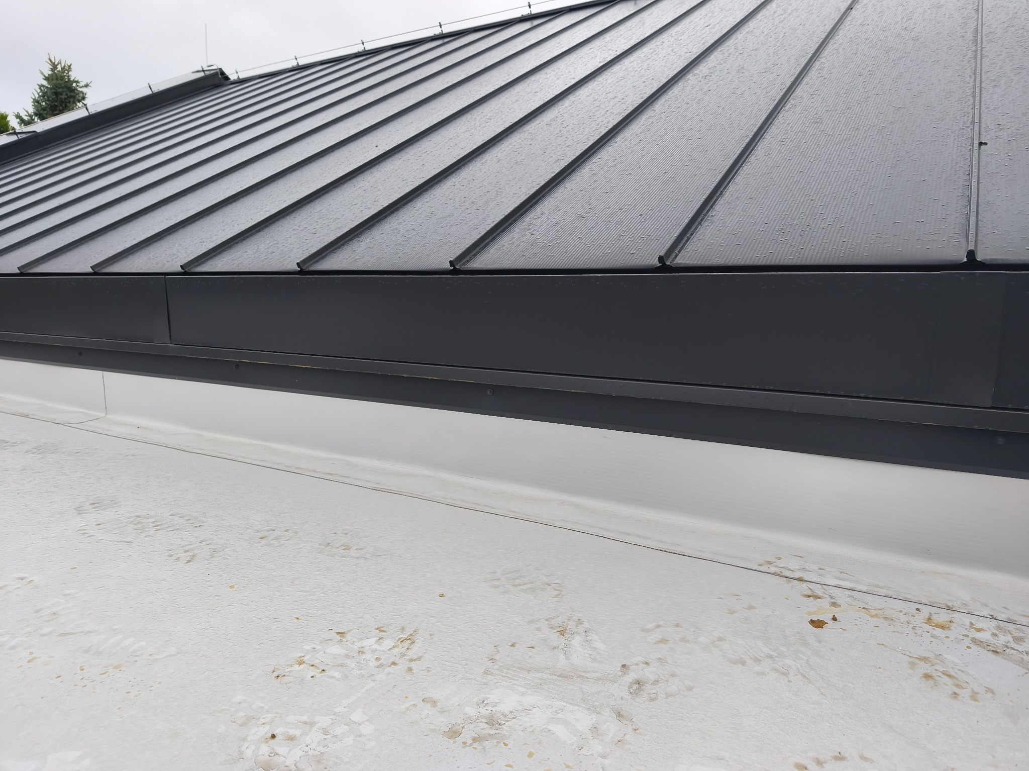 Nowoczesny, grafitowy dach z blachy na rąbek stojący, widoczny z dołu pod kątem. Na powierzchni dachu widoczne krople deszczu. Detal obróbki blacharskiej przy krawędzi dachu.
