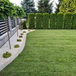 Travoni Usługi i Centrum Ogrodnicze - Perfekcyjnie utrzymany trawnik z równo przystrzyżoną trawą, oddzielony od ścieżki z białego żwiru obrzeżem; wzdłuż ogrodzenia posadzone drzewa z formowanymi koronami i niskie krzewy, w tle żywopłot...