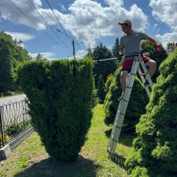 Travoni Usługi i Centrum Ogrodnicze - Mężczyzna w czerwonych spodenkach i czapce, stojący na aluminiowej drabinie, przycina żywopłot nożycami na wysięgniku; w tle błękitne niebo z chmurami i zieleń drzew.