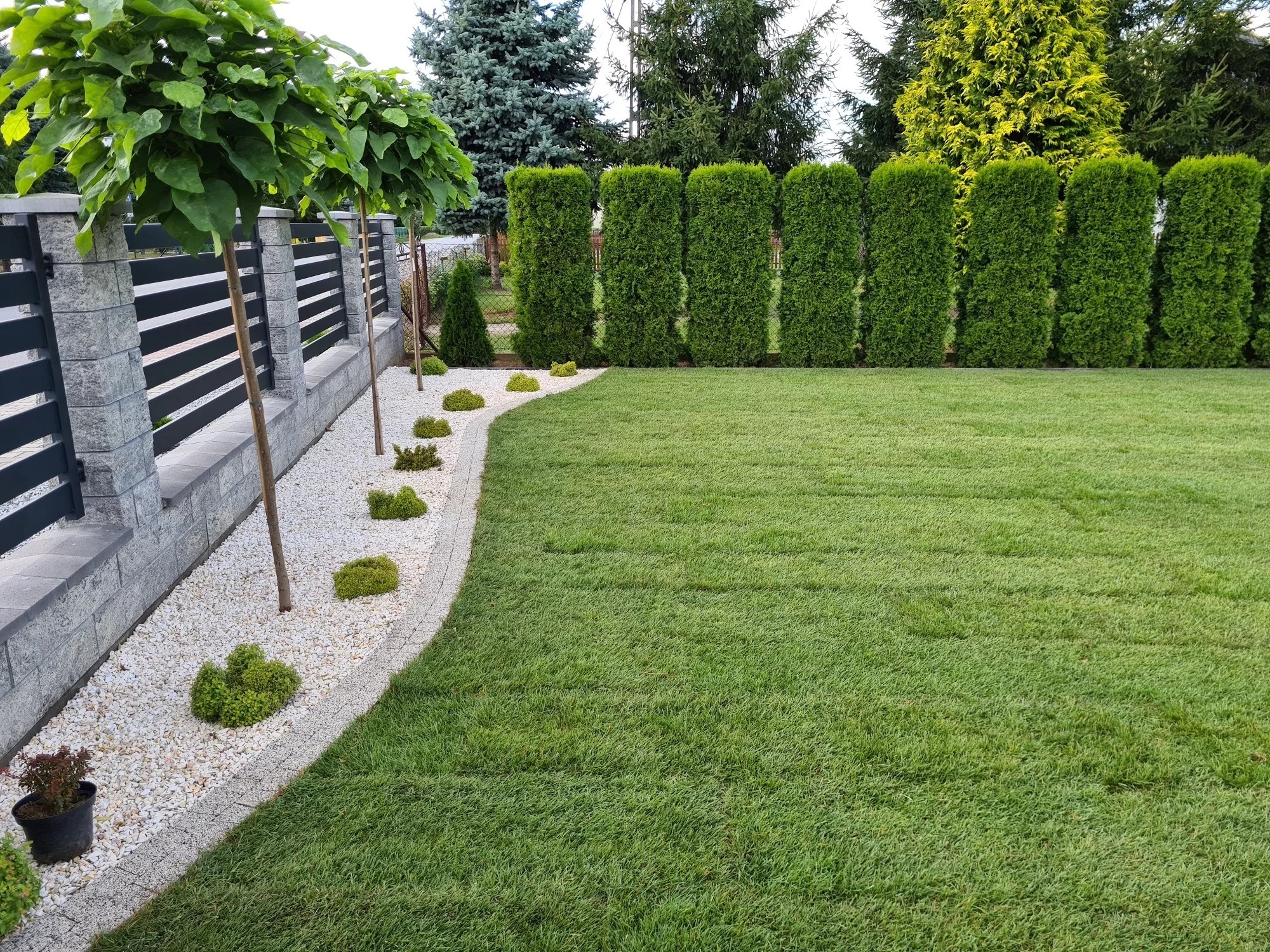 Perfekcyjnie utrzymany trawnik z równo przystrzyżoną trawą, oddzielony od ścieżki z białego żwiru obrzeżem; wzdłuż ogrodzenia posadzone drzewa z formowanymi koronami i niskie krzewy, w tle żywopłot...