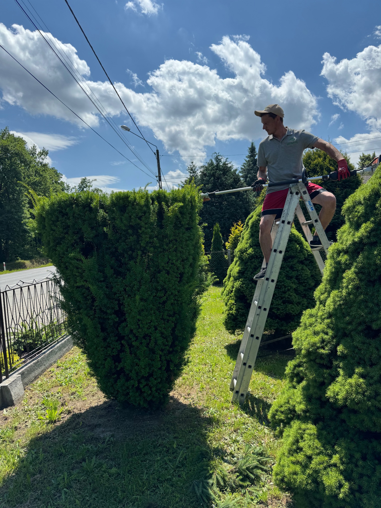 Mężczyzna w czerwonych spodenkach i czapce, stojący na aluminiowej drabinie, przycina żywopłot nożycami na wysięgniku; w tle błękitne niebo z chmurami i zieleń drzew.