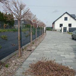 Zakładanie ogrodów Nowy Targ 4