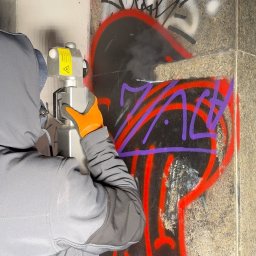 Konserwator zabytków Radziejowice 4