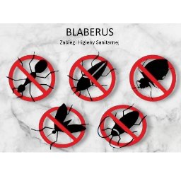 Blaberus - Dezynsekcja Rzeszów