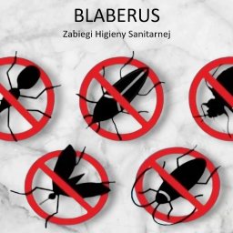 Dezynsekcja i deratyzacja Rzeszów 4