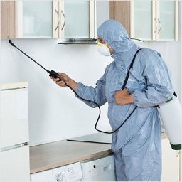 Dezynsekcja i deratyzacja Rzeszów 2