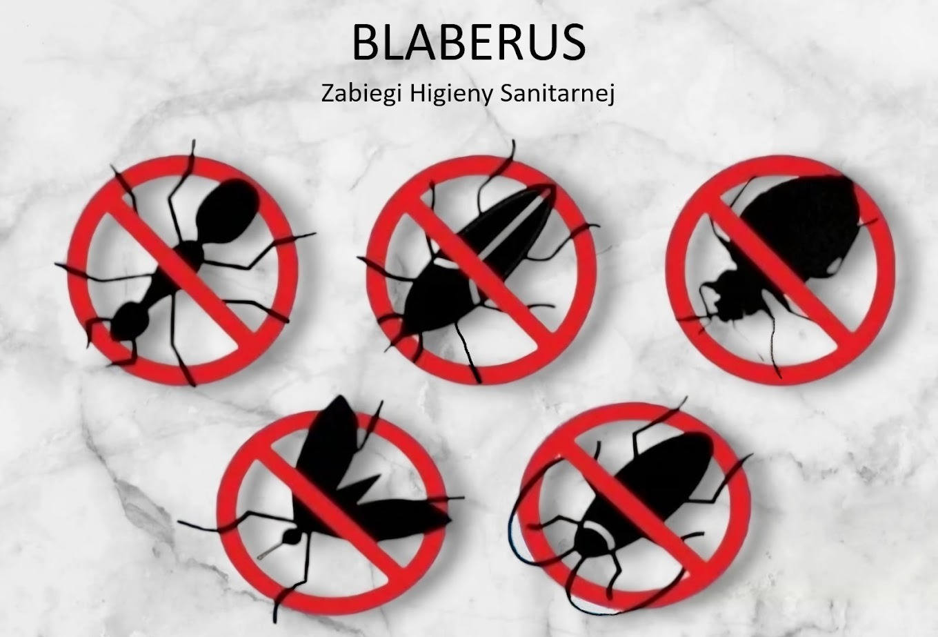 Grafika przedstawiająca przekreślone sylwetki różnych owadów i insektów na tle marmurowej powierzchni, z napisem 'BLABERUS Zabiegi Higieny Sanitarnej' u góry.