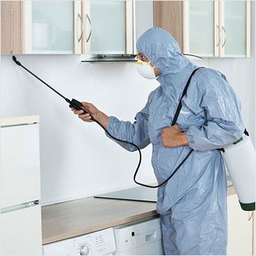 Pracownik w kombinezonie ochronnym i masce spryskuje narożnik szafki kuchennej za pomocą lancy opryskiwacza ciśnieniowego.