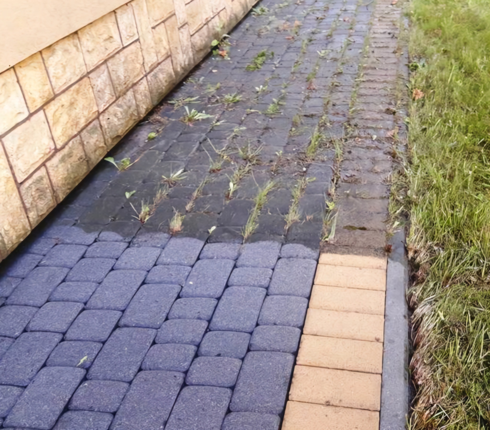 Fragment chodnika z kostki brukowej, część wyczyszczona, część porośnięta chwastami, widoczna różnica w kolorze i czystości, obok trawa i ściana budynku.