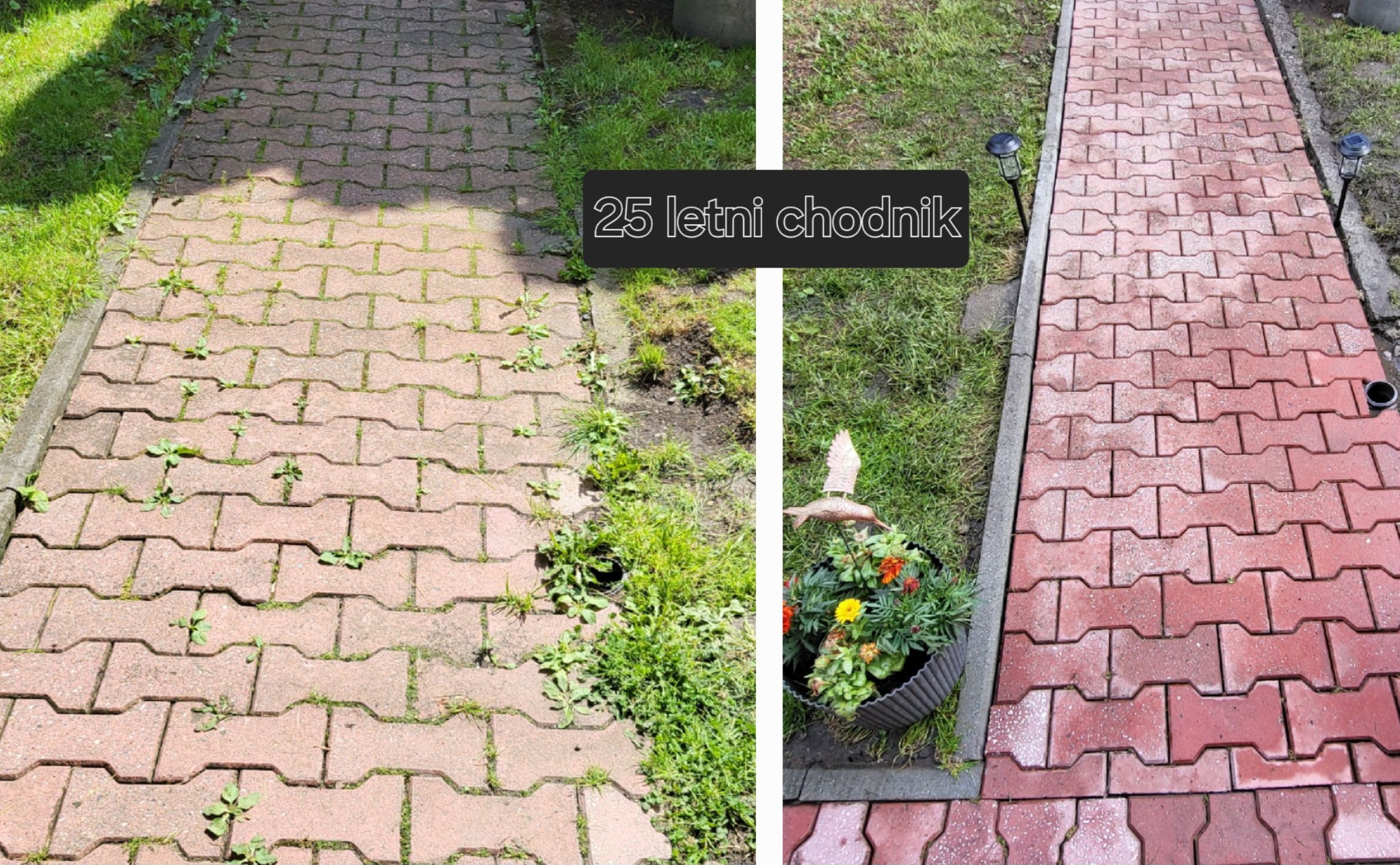 Porównanie fragmentu chodnika z kostki brukowej przed i po czyszczeniu: po lewej stronie kostka jest brudna i porośnięta chwastami, po prawej stronie kostka jest czysta i czerwona, obok stoi donica...