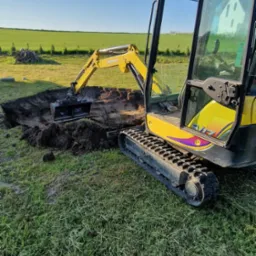 Żółta mini koparka Yanmar w trakcie wykonywania wykopu w trawiastym terenie, z widocznym stosem ziemi i odległym białym domem.