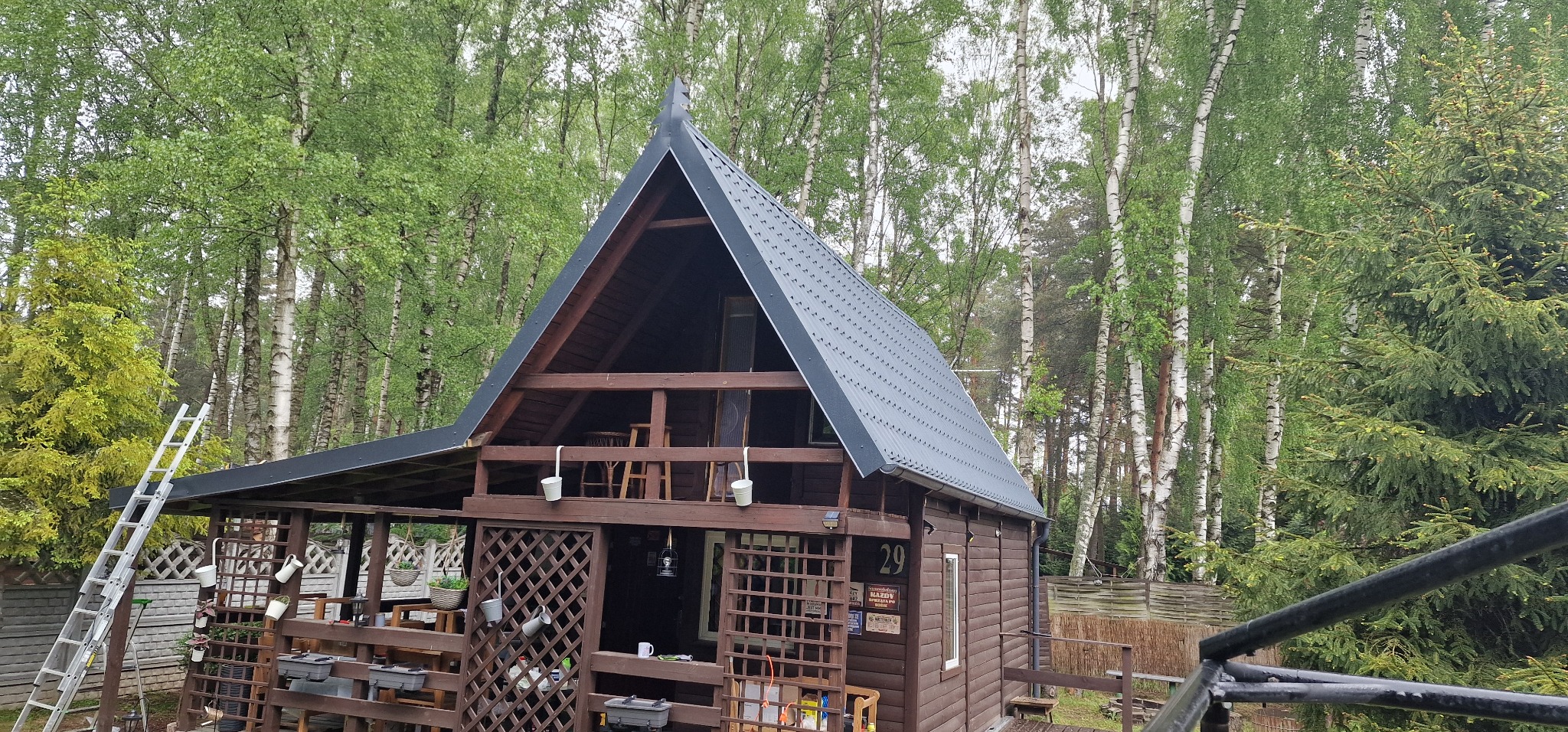 Drewniany domek letniskowy z dwuspadowym, grafitowym dachem z blachy na tle lasu brzozowego, drabina oparta o bok budynku, numer 29 na ścianie.