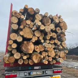 Ciężarówka z czerwoną platformą załadowana pociętymi kłodami drewna, widoczne tablice rejestracyjne i światła pojazdu, w tle hałda węgla i pochmurne niebo.